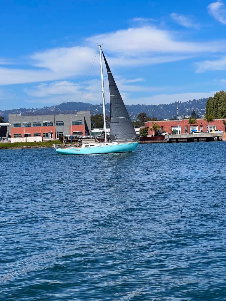 Sailboat under way off the marina