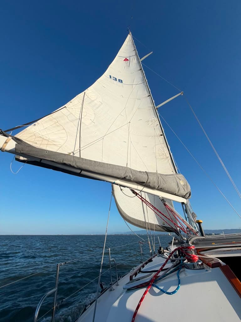 On deck under sail in the Bay